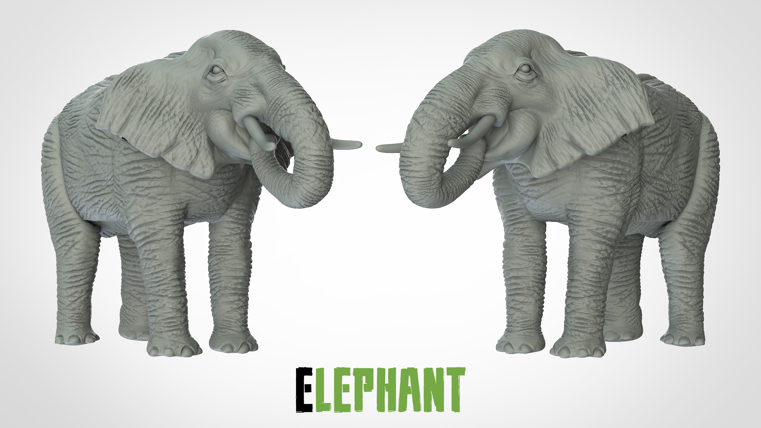 Eléphant pose alternative - 3D IPStudios