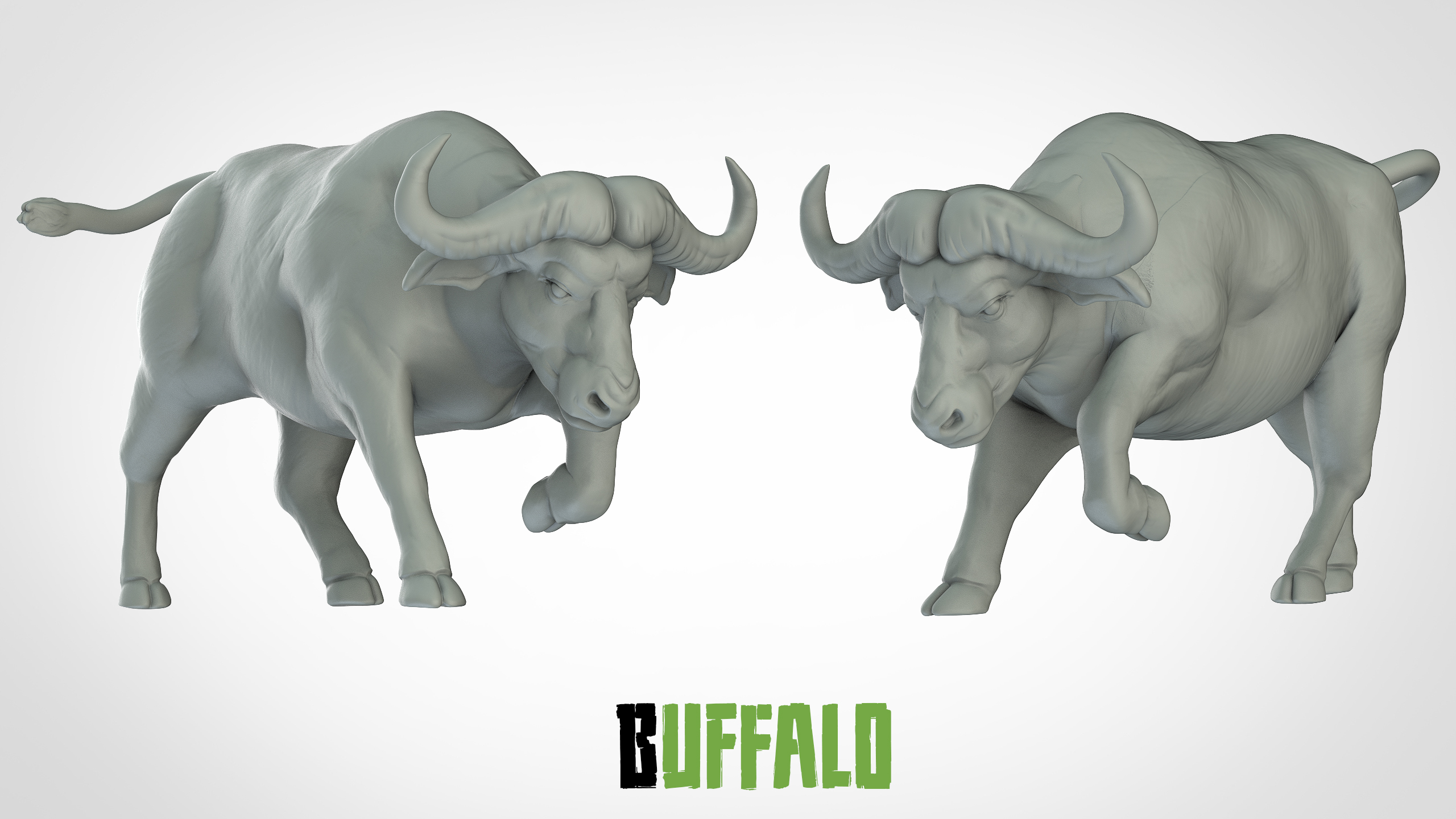 Buffle - 3D IPStudios