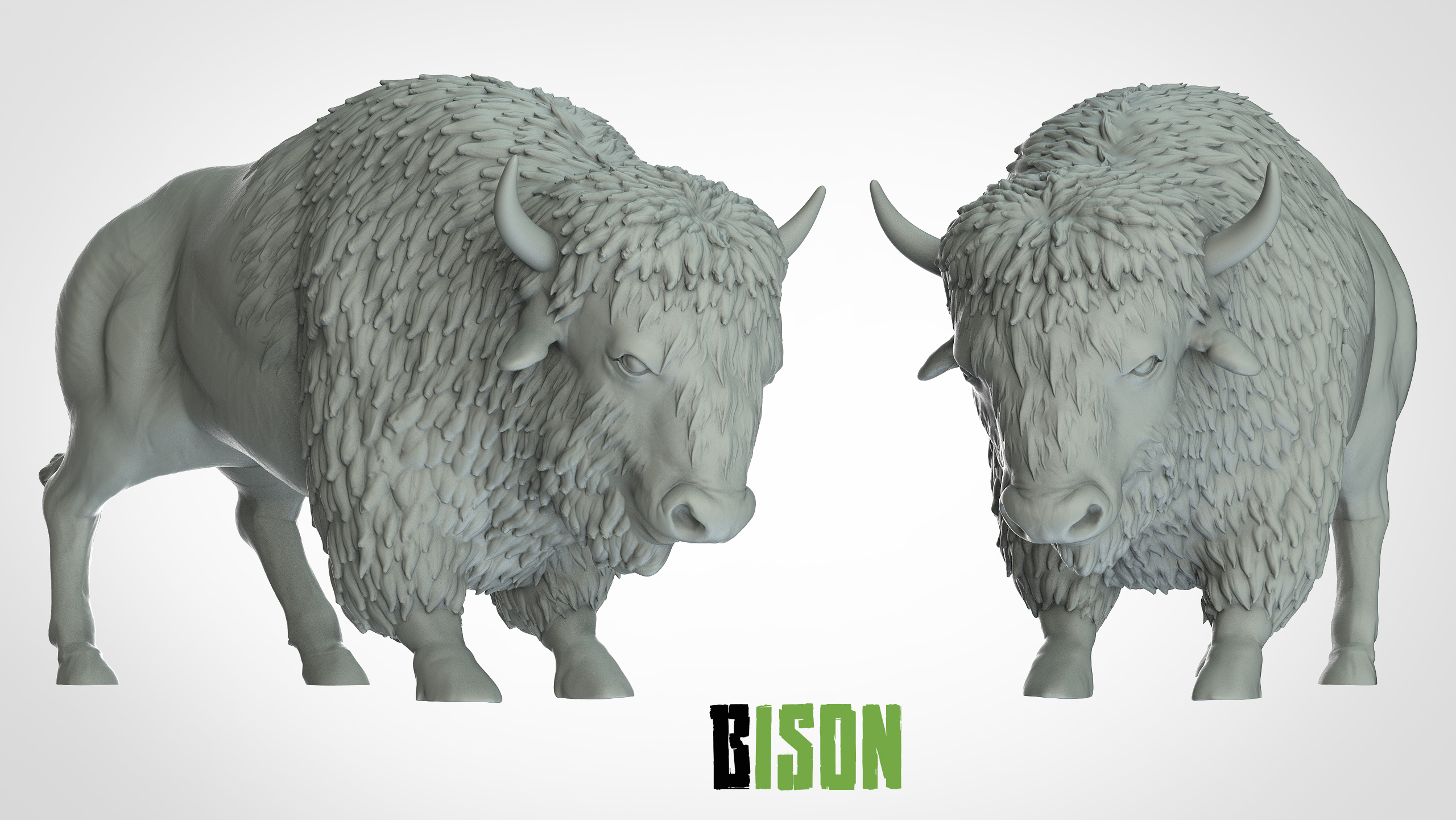 Bison - 3D IPStudios