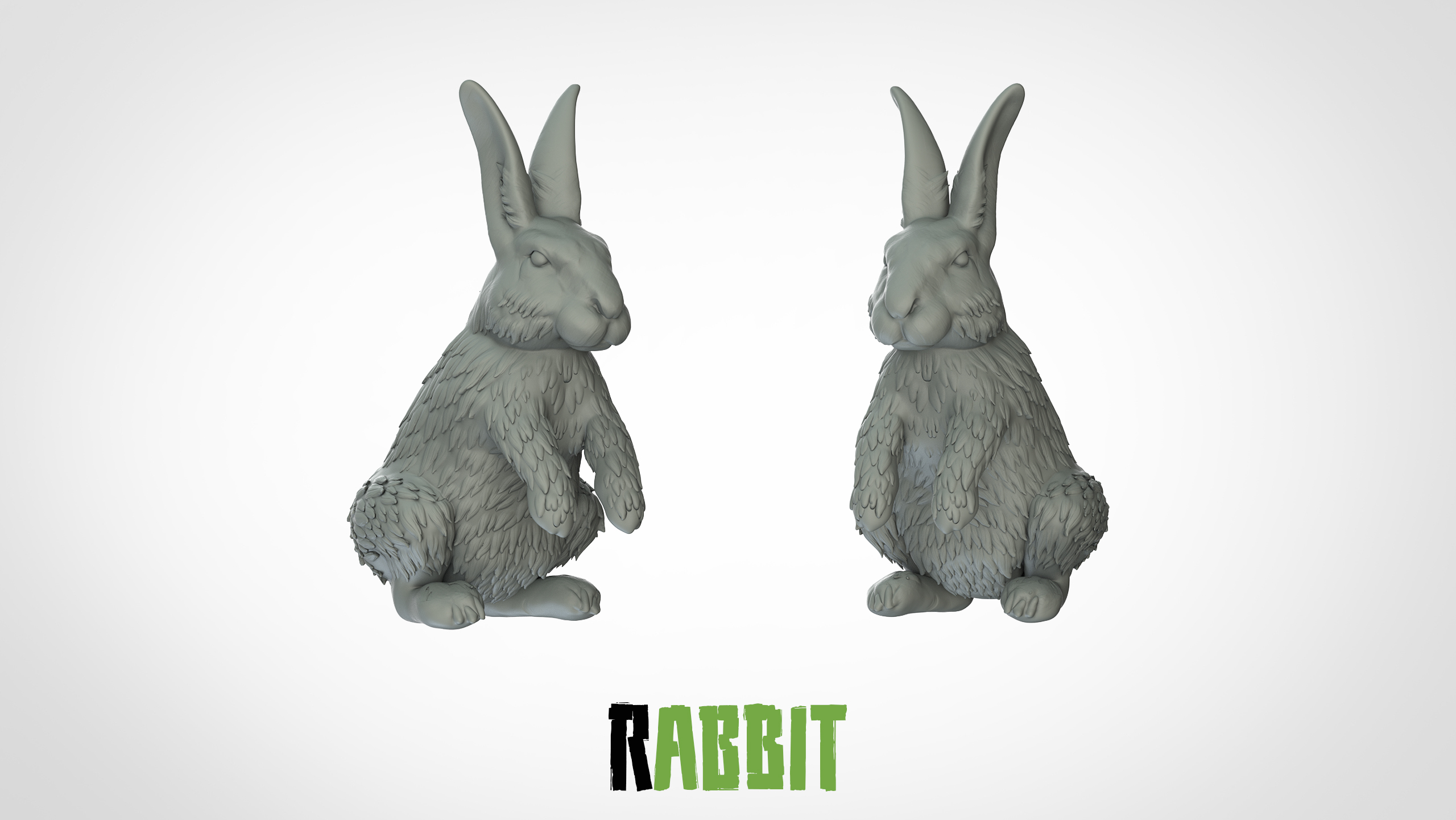 Lapin - 3D IPStudios