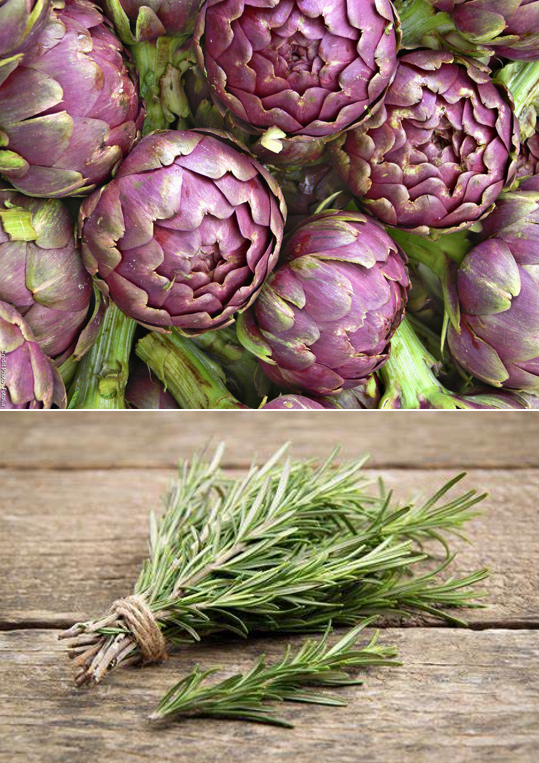 Detox Artichaut Romarin