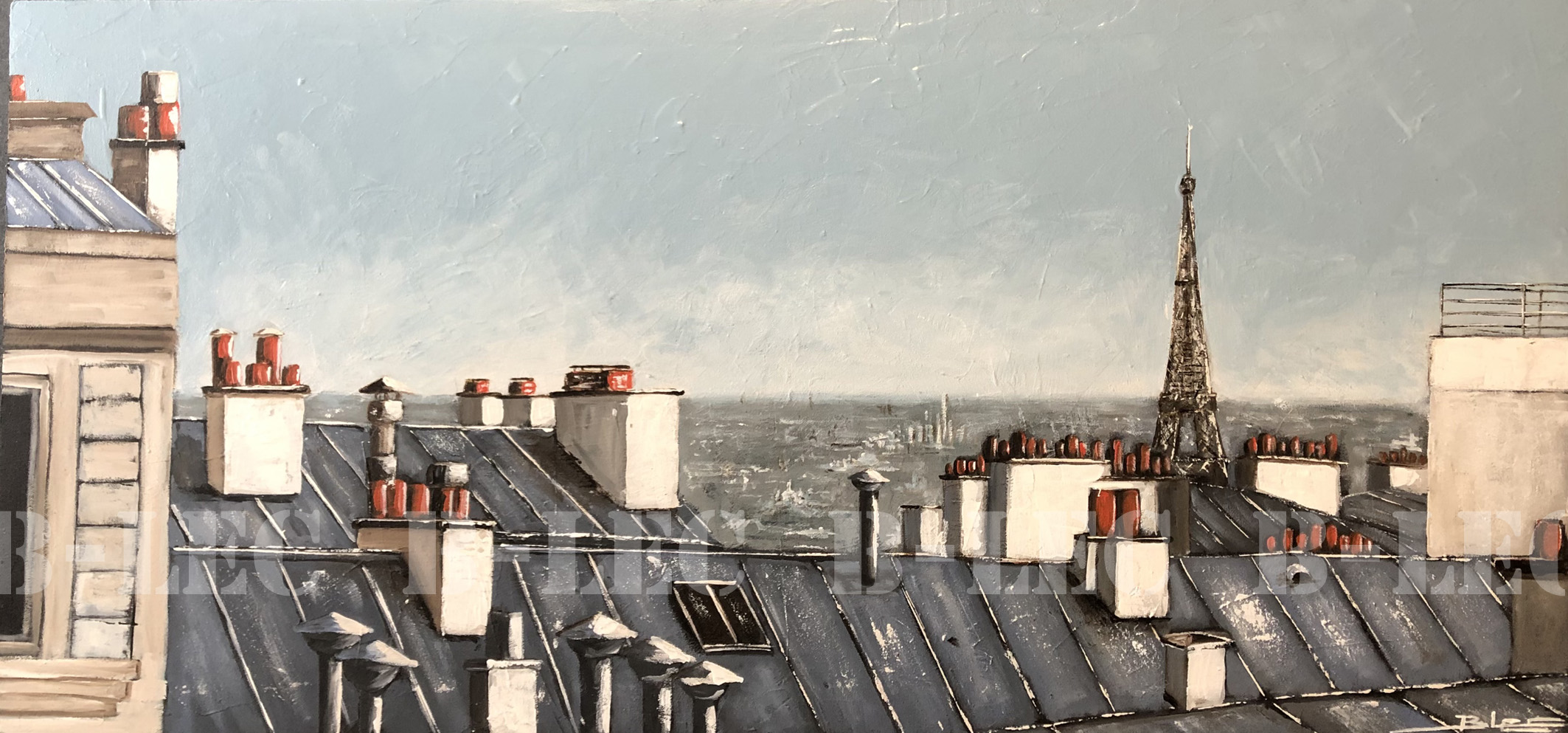...Vue des toits de Paris
