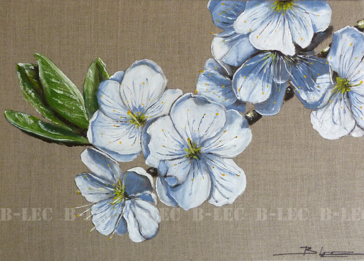 Fleurs de cerisier 50x70cm