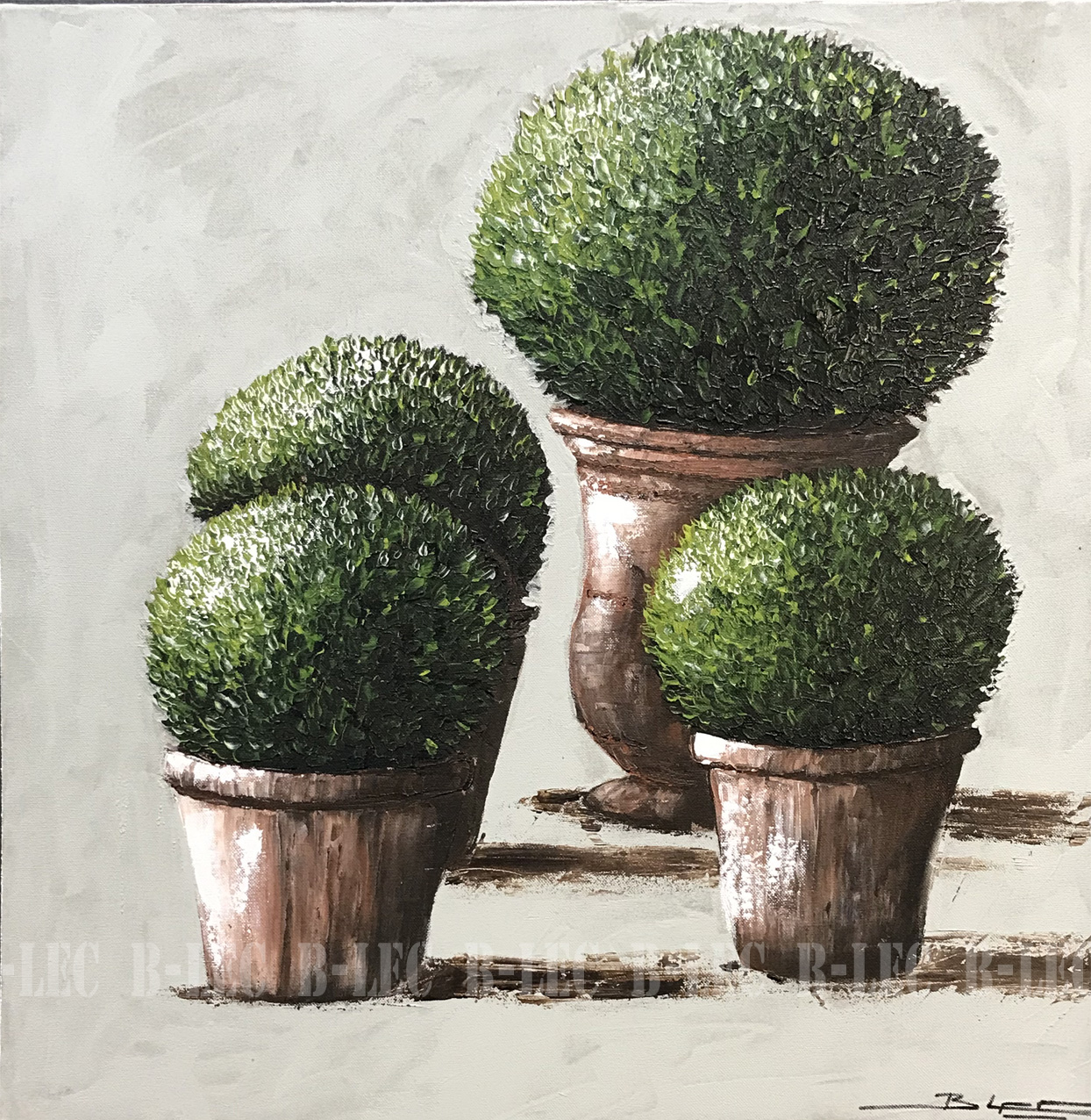 .Buis fond béton vert sauge