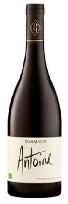 Domaine Py - AOP Corbières - Antoine
