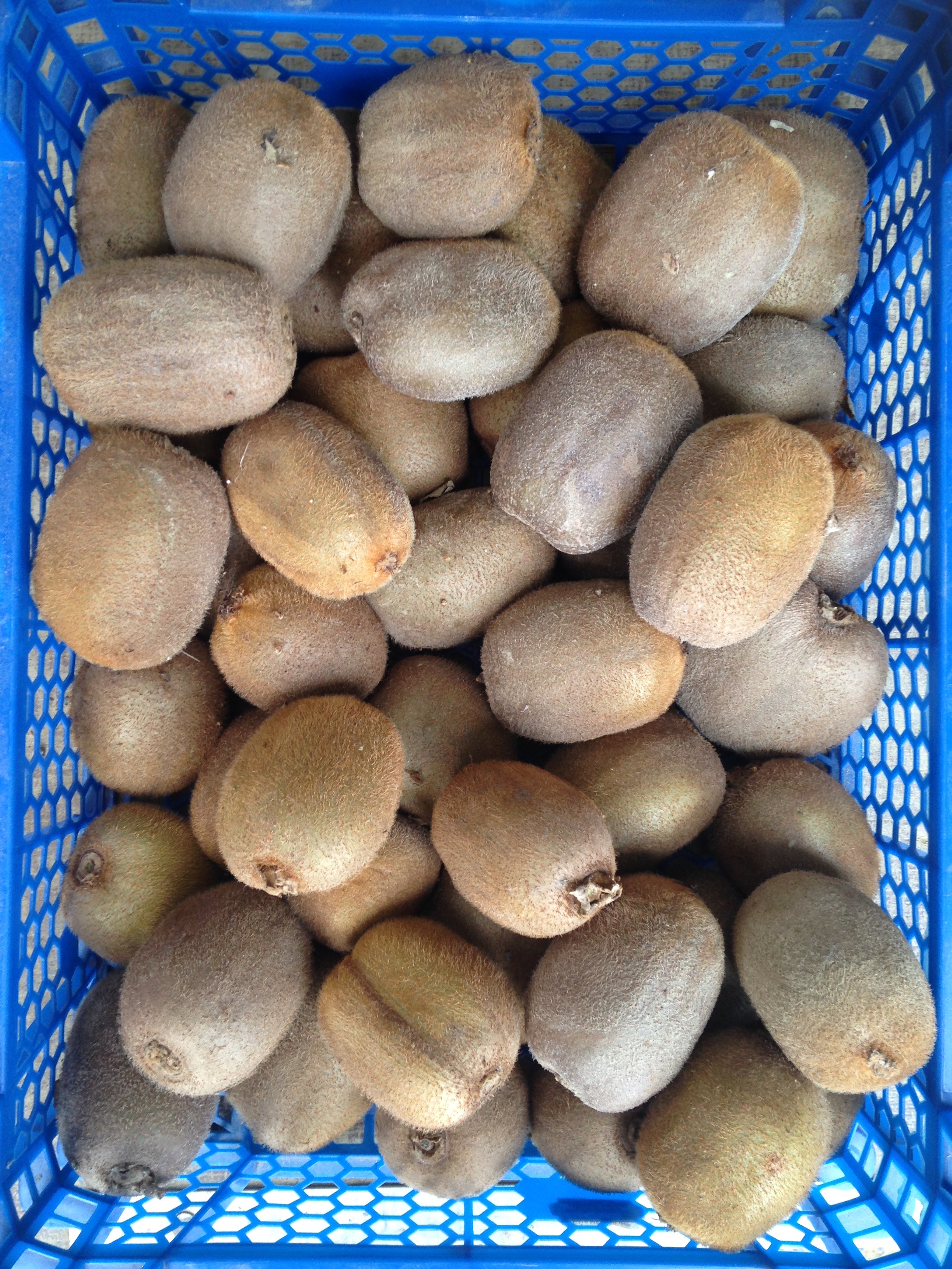 5kg kiwis pour confiture