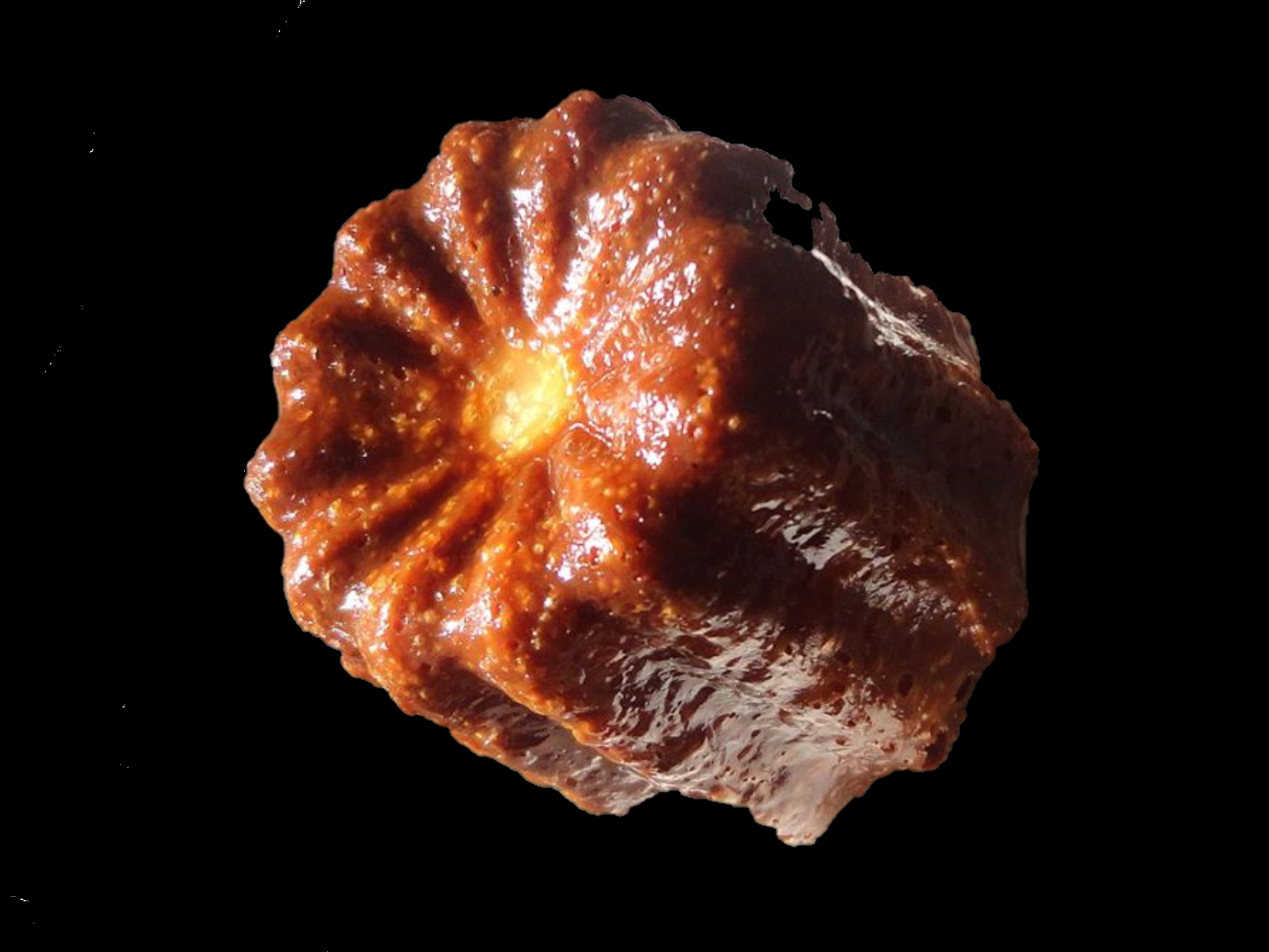 Canelé 