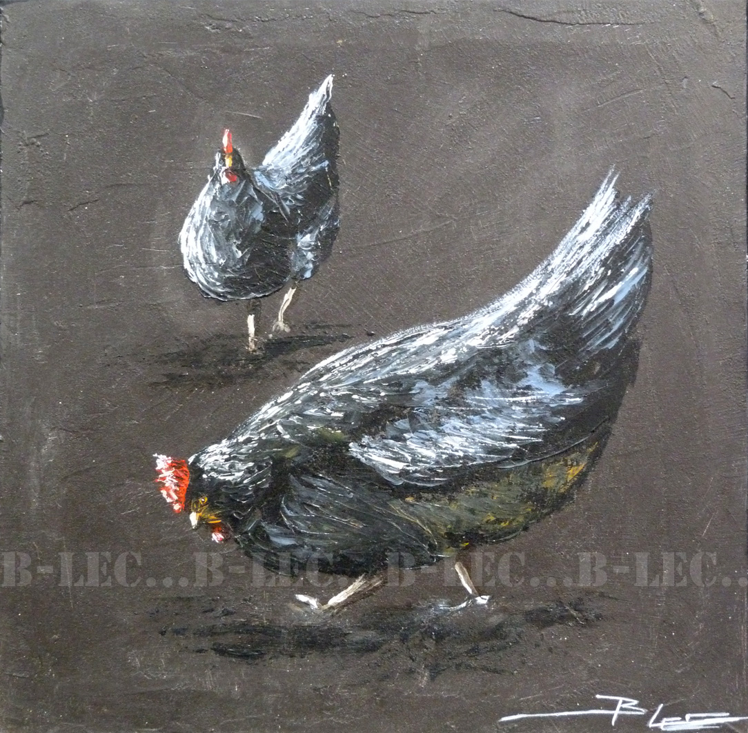Les poules noires 40x40cm