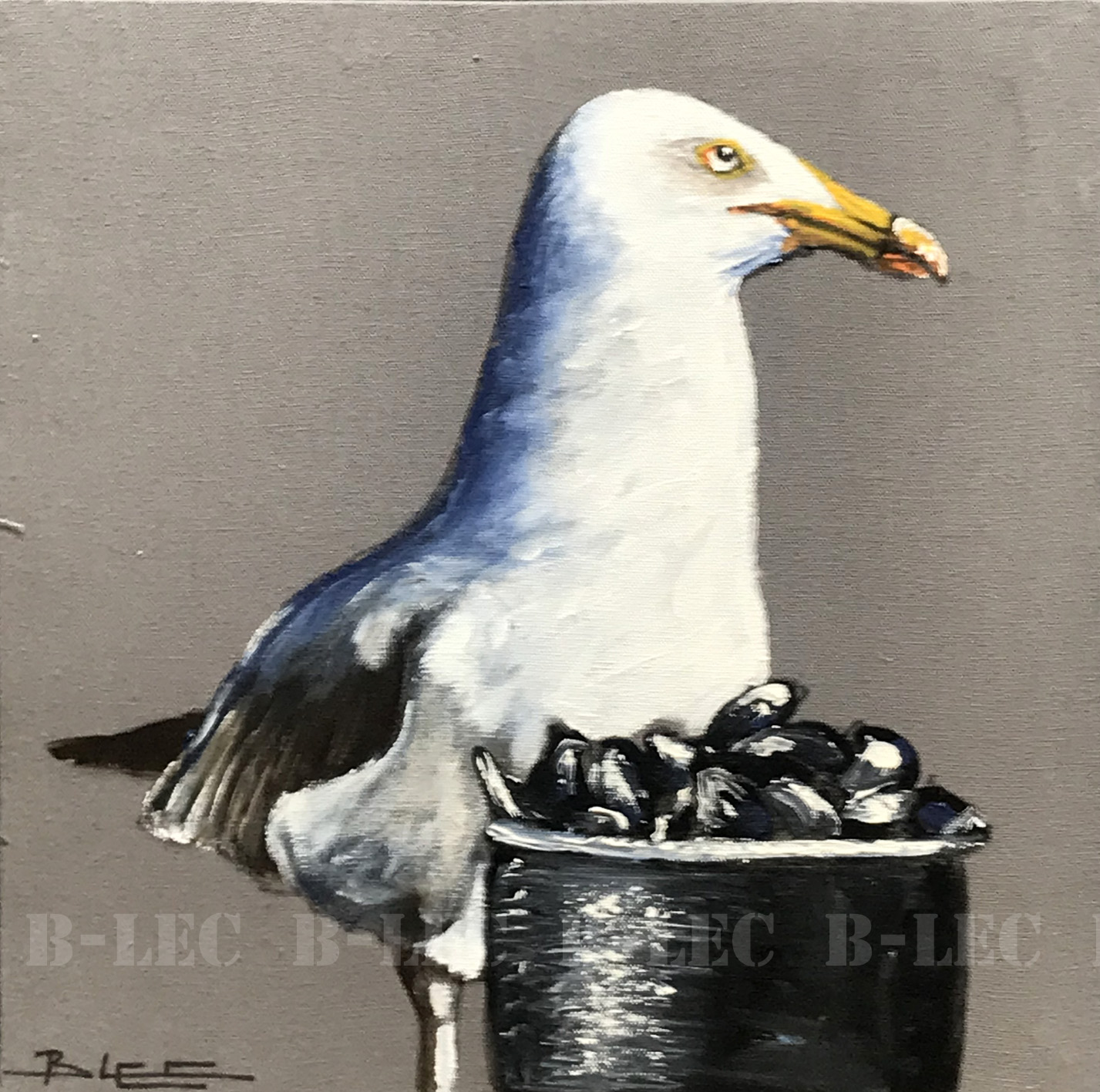 Mouette sur les moules 35x35cm