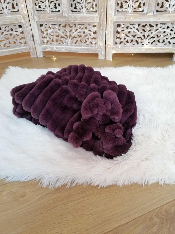 Couverture Éclat de Lune – Songe Mystique