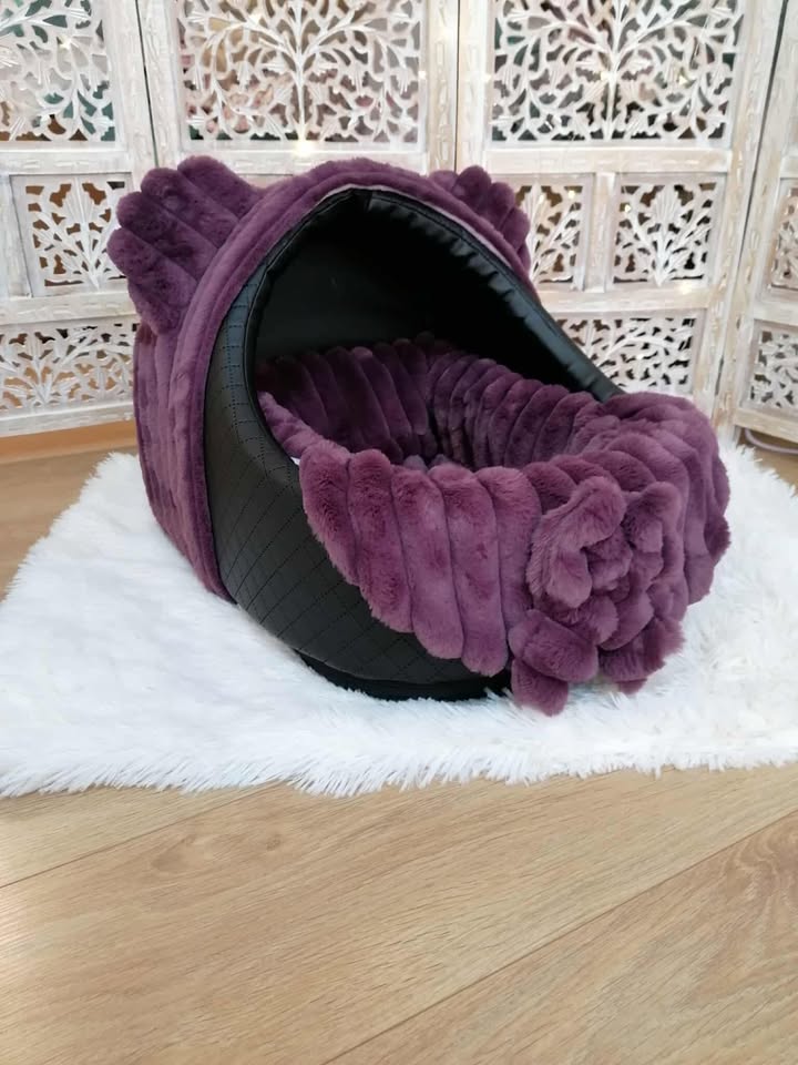 Accessoires pour Softygloo - Éclat de Lune – Songe Mystique