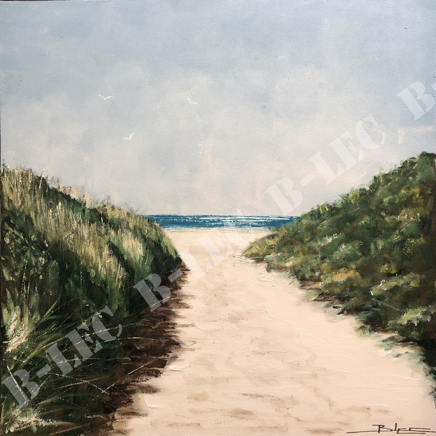 ...Dans les dunes de Merville Franceville plage