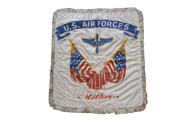 Housse de coussin u.s. air forces 